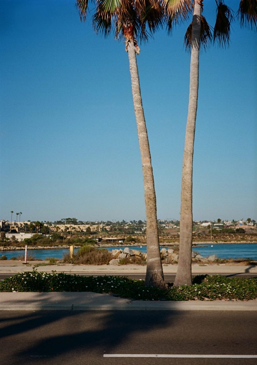 Carlsbad Blvd, plate 115