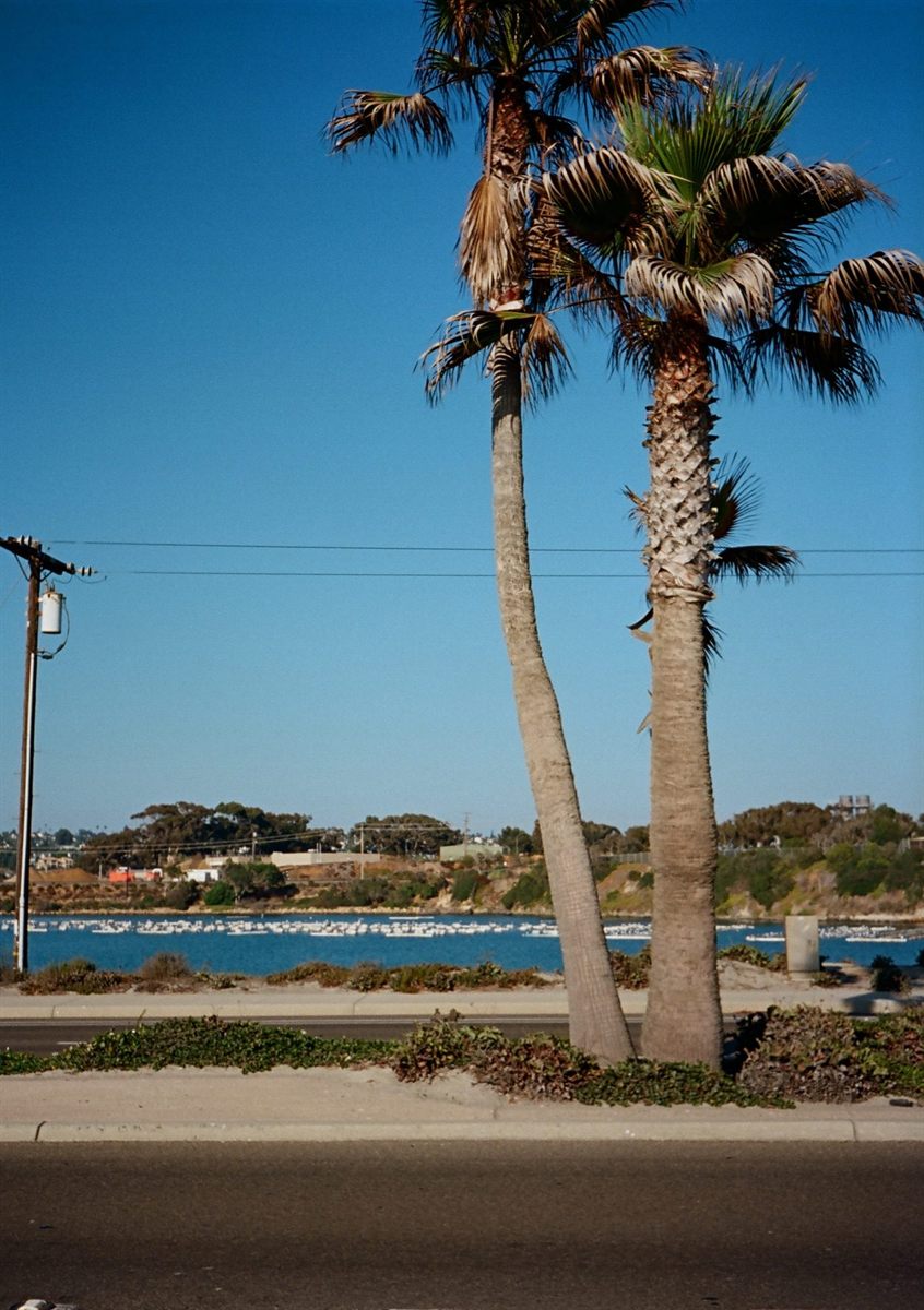 Carlsbad Blvd, plate 126