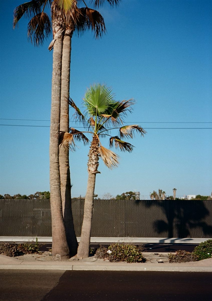 Carlsbad Blvd, plate 133