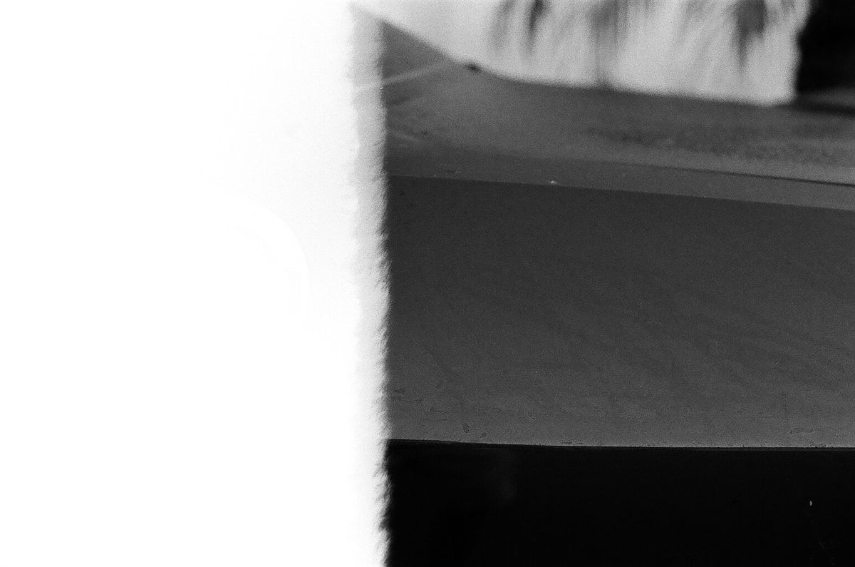 First of the Roll, plate 2