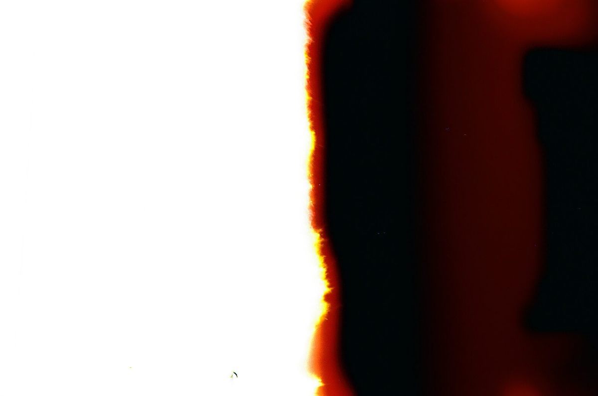 First of the Roll, plate 6