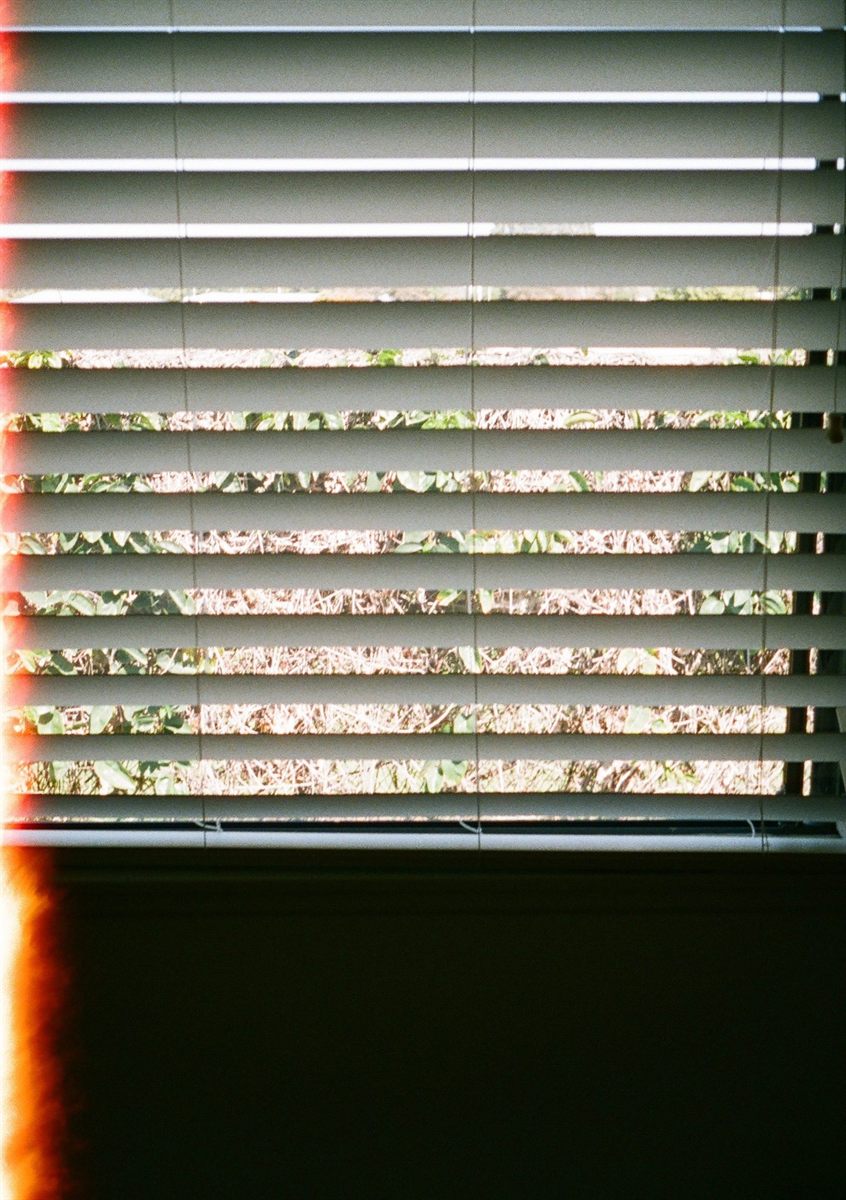 First of the Roll, plate 7