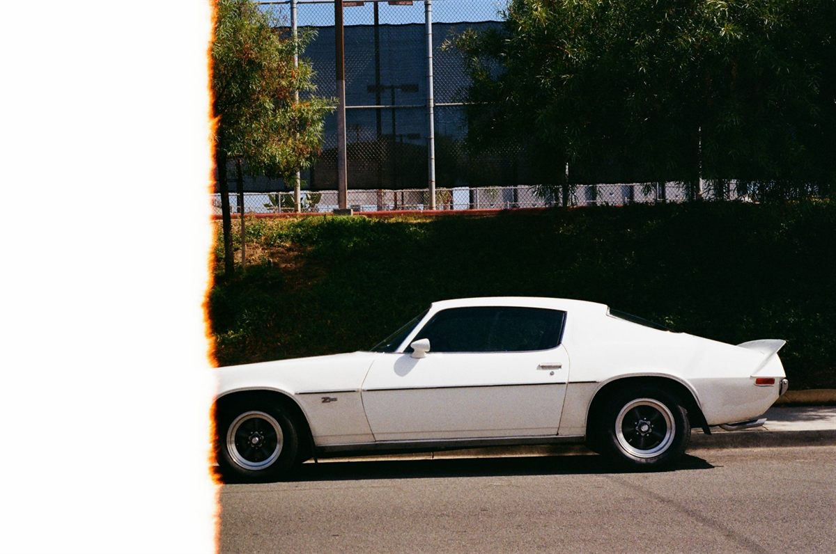 First of the Roll, plate 24