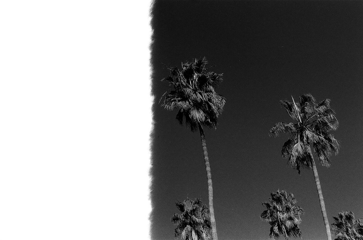 First of the Roll, plate 26