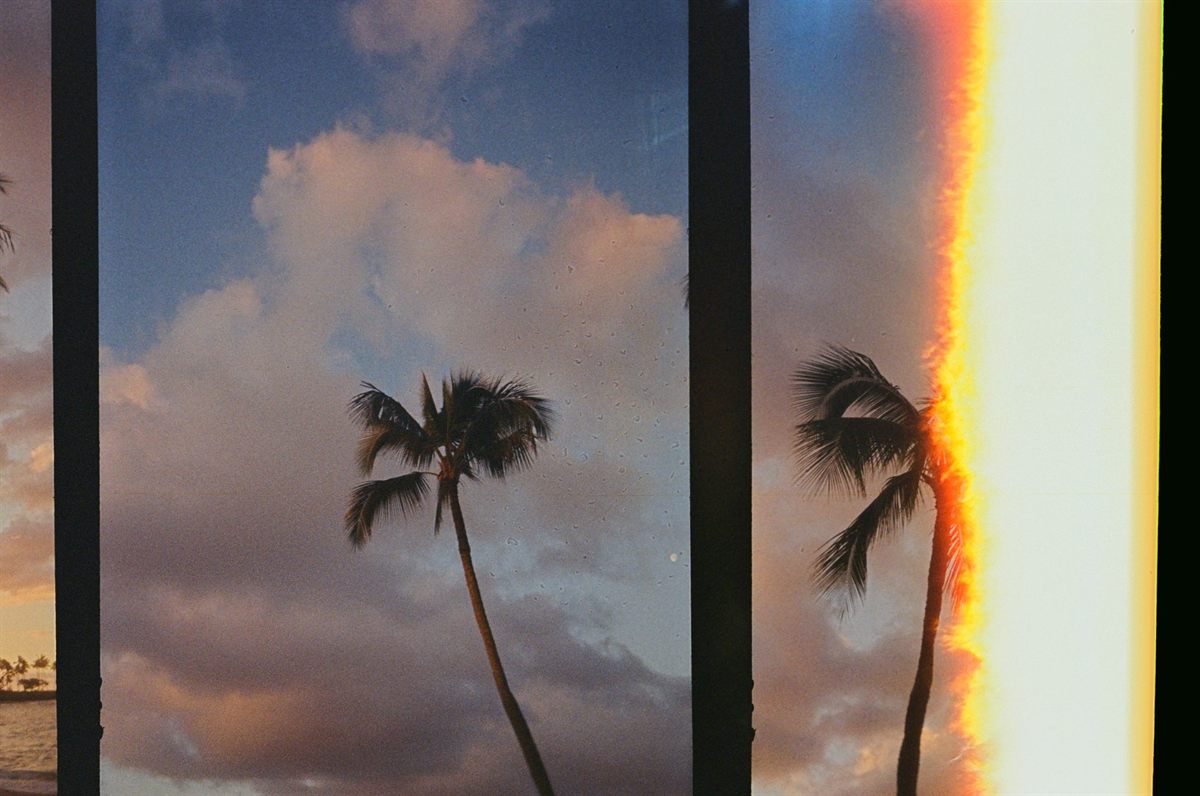 First of the Roll, plate 28