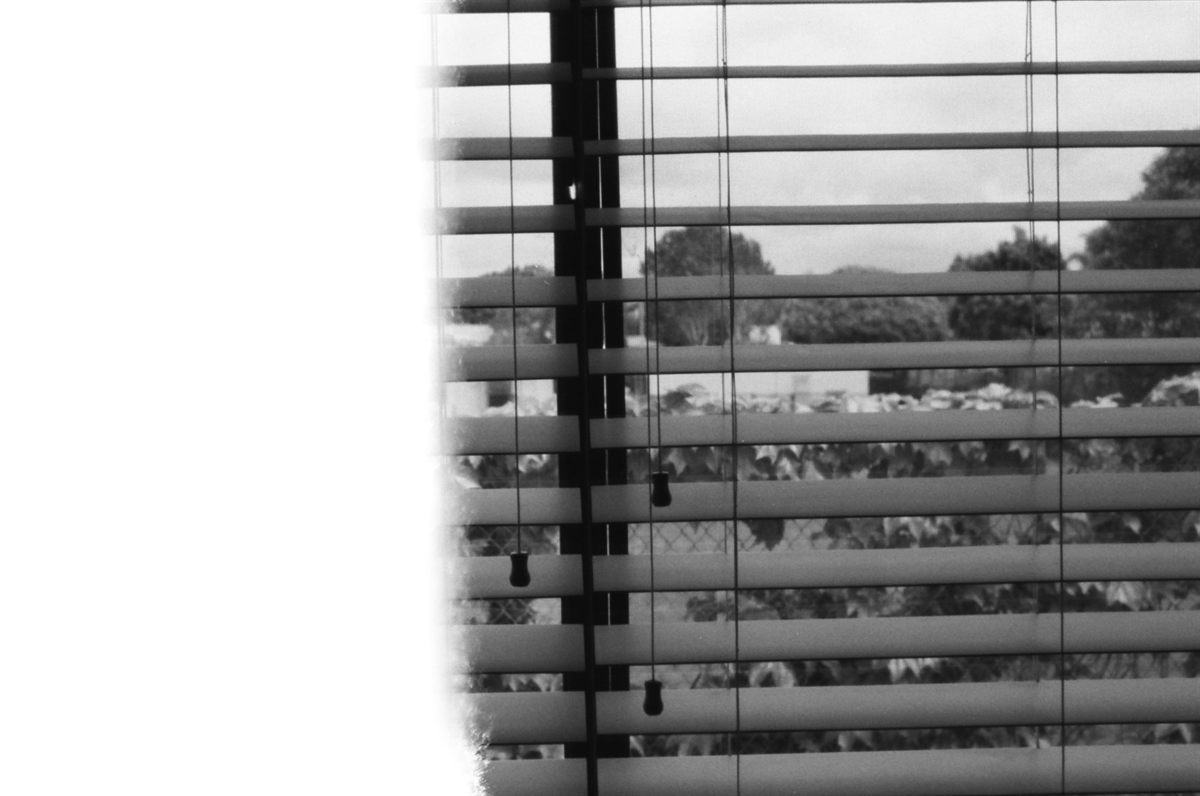First of the Roll, plate 33